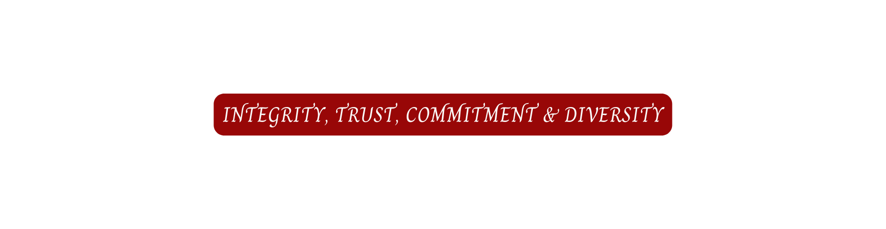 INTEGRITY TRUST COMMITMENT DIVERSITY